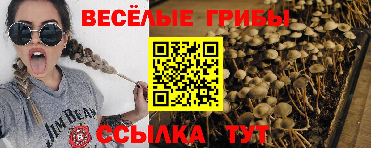 Псилоцибиновые грибы ЛСД  Галлюциногенные грибы GOLDEN TEACHER  Вход с VPN  Сибай 
